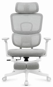 Scaun Ergonomic Premium cu Suport pentru Picioare, Reclinare 145°, Tetieră Reglabilă, Cotiere 3D, Suport Lombar Elastic și Șezut cu adâncime reglabilă, Gri