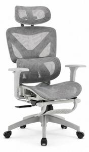 Scaun ergonomic, functie translatie sezut, cotiere 3D, tetiera 3D, suport lombar Adaptive, pivotant, suport picioare, Gri