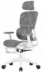 Scaun ergonomic, functie translatie sezut, cotiere reglabile 3D, tetiera 3D, suport lombar 3D Adaptive, pivotant, suport picioare, Alb/Gri