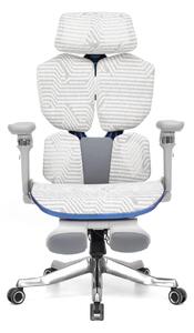 Scaun Ergonomic Premium AirMesh Elite X6D – Cotiere 6D, Suport Lombar Reglabil, Tetieră 4D, Sezut Translatie, Reclinare, Suport Picioare, Mesh, Gri/Colorful