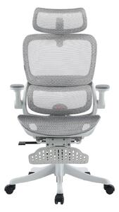 RESIGILAT- Scaun ergonomic SIHOO B100-PRO, cotiere 4D, tetiera 3D, mecanism multifunctional inclinare/blocare, suport picioare, pivotant, Mesh, Gri