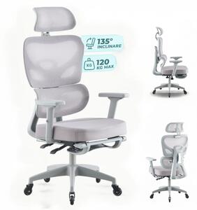Scaun ergonomic, cotiere 3D, suport lombar adaptiv, spătar reglabil pe inaltime, tetiera 3D, suport pentru picioare, pivotant, Mesh, Gri