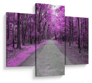 Tablou - drum prin parc (90x60 cm)
