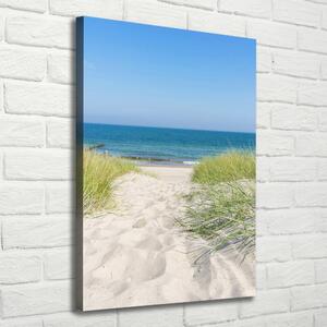 Tablou canvas dune de coastă