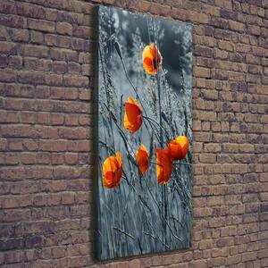 Imprimare tablou canvas wildflowers maci