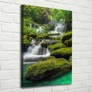 Imprimare tablou canvas Cascada din junglă