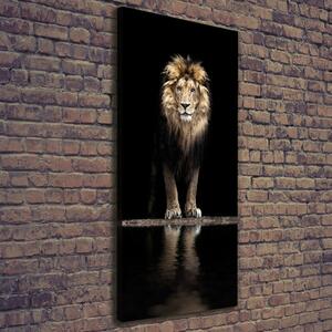 Tablou pe pânză canvas Portret de un leu
