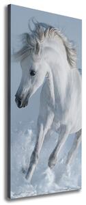Pictură pe pânză cal alb în galop