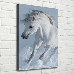 Pictură pe pânză cal alb în galop