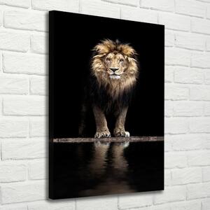 Tablou pe pânză canvas Portret de un leu