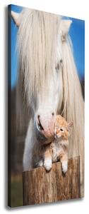 Tablou pe pânză cal alb cu o pisică