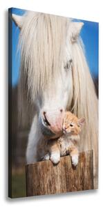Tablou pe pânză cal alb cu o pisică