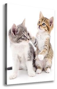 Tablou canvas Două pisici de talie mică