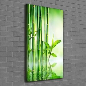 Tablou canvas Bamboo în apă