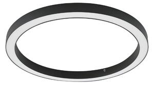 Plafoniere Lucande, Neor, reglabil, Negru, Zona coridorului, Metal, Modern