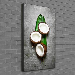 Tablou pe pânză canvas Pe frunze de nucă de cocos