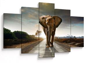 Tablou cu elefant (150x105 cm)