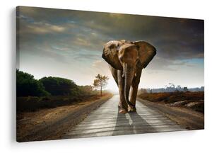 Tablou cu elefant (90x60 cm)