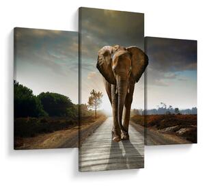 Tablou cu elefant (90x60 cm)