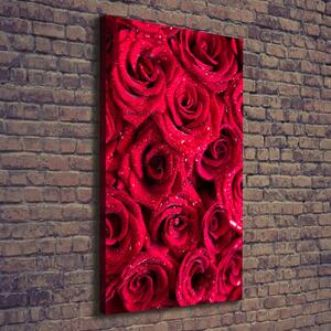 Tablouri tipărite pe pânză trandafiri rosii