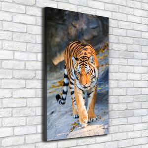 Pictură pe pânză Tigru