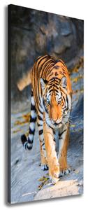 Pictură pe pânză Tigru