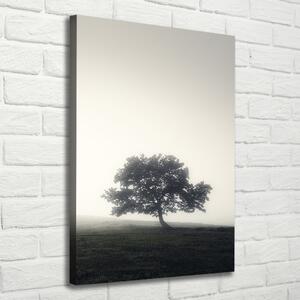 Tablou canvas Arborele în ceață