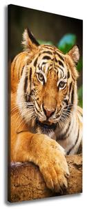 Pictură pe pânză tigru bengalez