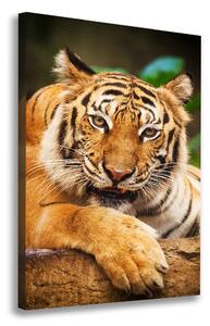 Pictură pe pânză tigru bengalez