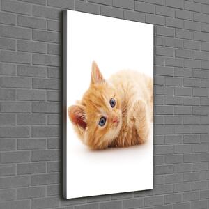 Tablou pe pânză canvas pisică ghimbir mici
