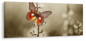 Tablou cu fluture (120x50 cm)