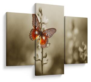 Tablou cu fluture (90x60 cm)