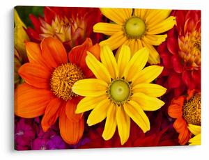 Tablou cu floare (70x50 cm)