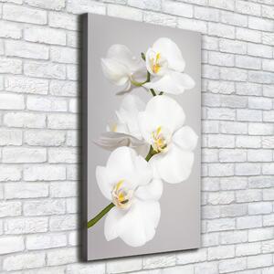 Print pe pânză alb orhidee
