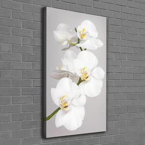 Print pe pânză alb orhidee