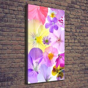 Tablouri tipărite pe pânză flori colorate