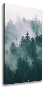 Tablou pe pânză Ceață peste pădure