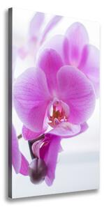 Print pe pânză orhidee roz