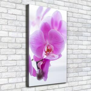 Print pe pânză orhidee roz