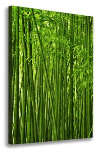 Tablou pe pânză pădure de bambus