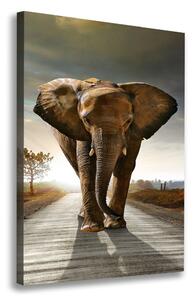 Print pe pânză elefant de mers pe jos
