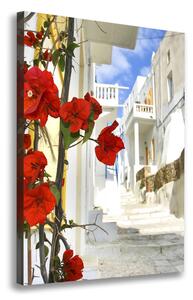 Tablou canvas Mykonos Grecia