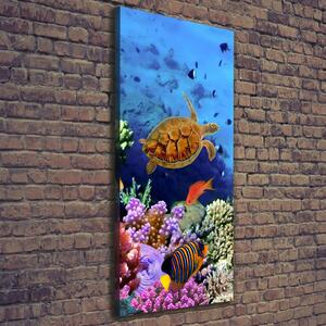 Tablou canvas recif de corali