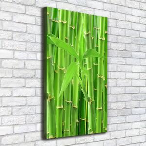 Print pe pânză pădure de bambus