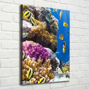 Pictură pe pânză recif de corali