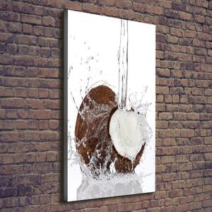 Imprimare tablou canvas nucă de cocos