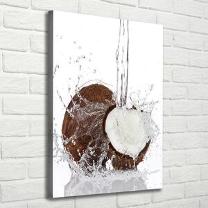 Imprimare tablou canvas nucă de cocos