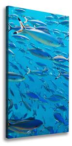 Imprimare tablou canvas pește Coral