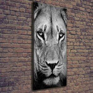 Print pe canvas Portret de un leu