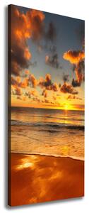 Tablou pe pânză canvas plaja australian